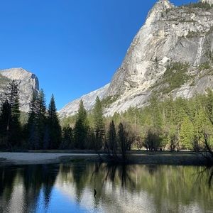 Meet your Posher, Dylan